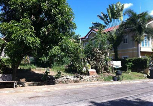 Mapayapa 2 Village, vegetable garden in a vacant lot.